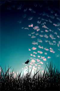 精选篇章阅读纸短情长