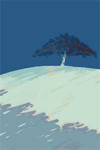 优质全文阅读美人村