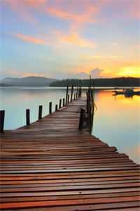 强嫁的皇子捂不热，重生她不要了：全文+后续完结阅读无弹窗大结局_强嫁的皇子捂不热，重生她不要了：全文+后续最新章节列表_笔趣阁知乎