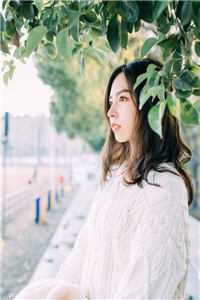 迟冬不赴春+结局+番外全文免费