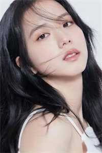 遥寄相思泪落花，相隔宫墙情难诉已完结