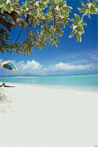 我老婆有个闺蜜，家里很有钱结局+番外全文免费阅读_丁月琴小优最新小说_笔趣阁我老婆有个闺蜜，家里很有钱结局+番外预订