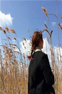 书荒宝藏热文分享全文免费阅读无弹窗大结局_最新章节列表_笔趣阁后续