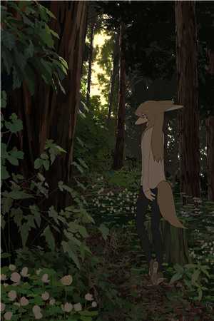 林意苏沐歌后续全集