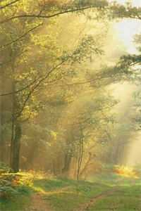 谢清清韩照小说全集清爽版_开篇大作+后续在线最新后续+全文