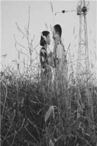 楚润婷陈默完结篇小说在线阅读热门章节无错版