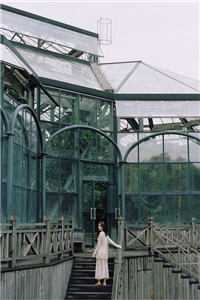 顾霆之江皖皖全文阅读 江皖皖章节阅读大结局