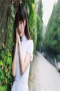 不曾照繁星：全文+后续+完结新书