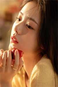 要命的嫁妆高口碑