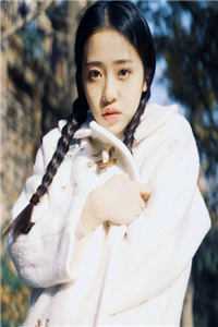 《爱散于日落时分：整本+延伸+最终终章小说》宋书窈贺闻声爱散于日落时分：整本+延伸+最终终章小说全文全章节阅读全篇