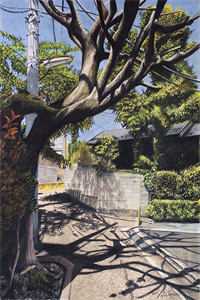 春色已去落花雨高口碑