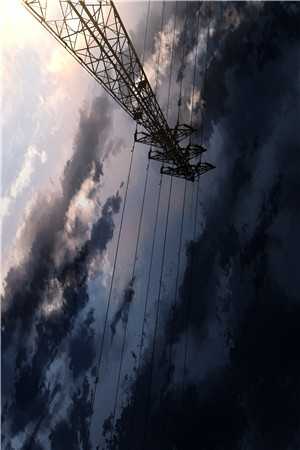 纳妃百年,从假太子到仙界帝君免费结局+番外