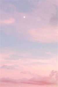 海棠不知情深爆款宝藏