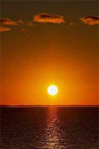 心的第七次颤动后续+无弹窗