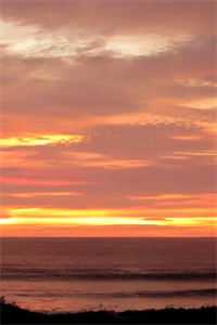 重返人间后，小叔火葬场了：结局+番外+后续预订