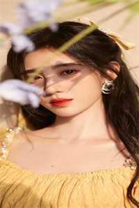 望不穿月影西沉顾南辰林晚意全局