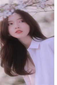 海棠不知情深宁晚棠季云深全文免费