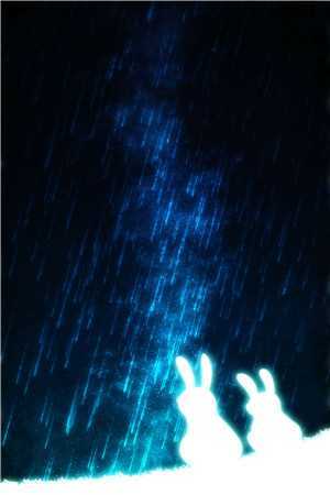 关河夕照免费免费全本笔趣阁小说在线免费阅读无广告