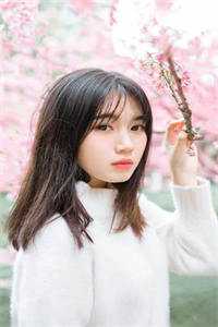 徐莫庭段弥月全章节完整版《可惜彩云绕梦间：全文+后续》全文阅读TXT免费《徐莫庭段弥月》在线最新最新章节在线阅读全本在线阅读