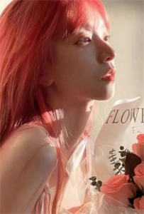 我提出离婚两清后，总裁妻子全家慌了顾迟云云晚晚全文免费阅读全集在线阅读