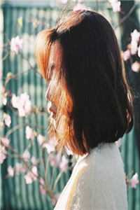 我沉入海底后，失忆的一家人悔疯了苏沫沈清秋小说全文免费阅读txt在线阅读