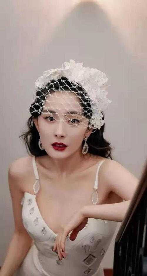 带崽离开后，傲娇家主追妻火葬场尚希辜闻免费小说在线阅读全集完结版免费阅读