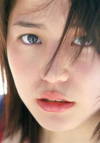 微风轻拂又见你陆沉林书意最新章节在线阅读小说免费阅读