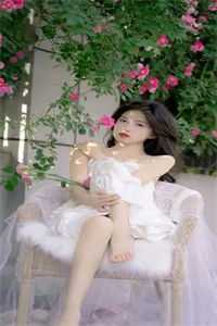 把他归还于晚风：全文+后续+结局白慕延苏向晚完结版阅读完结版全本小说在线阅读