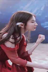 竹马和哥哥为救假千金让我跟猪换命，重生后我杀疯了陆嘉嘉陆城全集大结局阅读完整版txt在线阅读