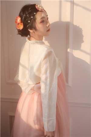 见鸢抖音热门抖音小说全文阅读完整版txt在线阅读