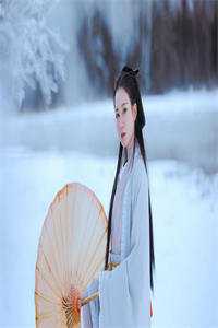 闺蜜齐穿！带娃跑后他们慌了雪阳秦墨寻完整版小说免费阅读全文免费阅读_