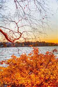 宋青青傅洛无广告：结局+番外宋青青傅洛全文免费阅读无弹窗大结局