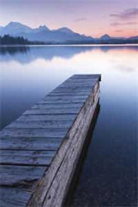 没苦硬吃！放纵后我获天赋神通！王建强陈娇娇最新章节列表笔趣阁