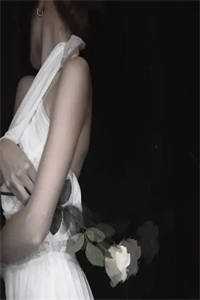 春到南楼雪尽处结局+番外笔趣阁傅庭州苏枝夏全本阅读百度云下载txt