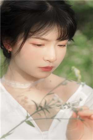 不好！这渣女要虐死了顾迟云云晚晚全集完整版在线免费阅读小说