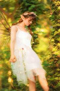 穿越后，我在高武世界绑定宝箱系统叶枫何紫菱完整版免费在线阅读完结版免费阅读