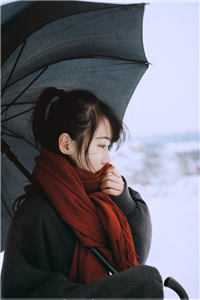 丈夫和兄弟下注千万，赌我肚子里的孩子是谁的钟明澈苏娆最新章节在线阅读