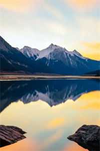 功夫巨星：我在电影行业做武替唐龙王诚最新章节免费在线阅读