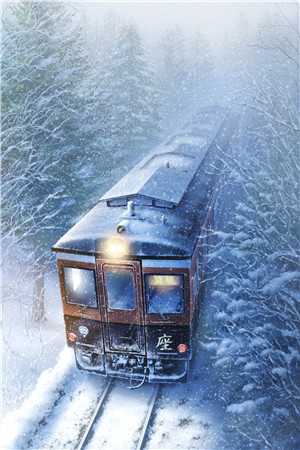 此去经年人未还：全文+后续+结局沈青禾霍沉洲全文免费阅读完结版阅读