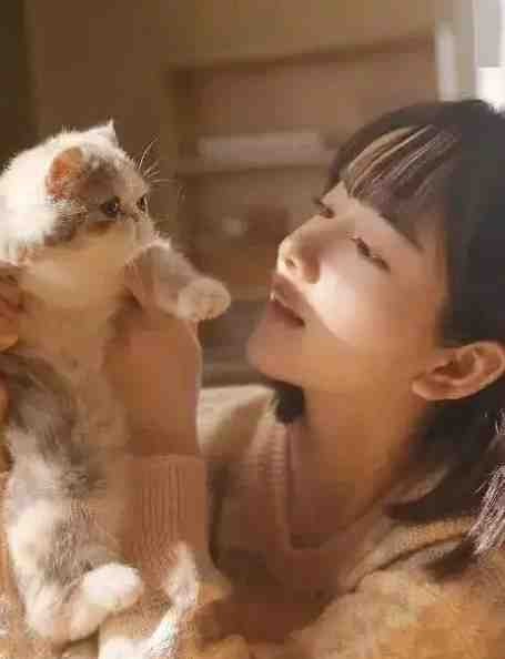 重生：最强天帝回归叶凡苏汐最新章节笔趣阁小说百度云阅读