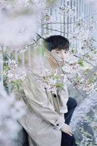 重生:开局收获校花妈妈大师级秘书!陈默苏韵已完结txt小说全本免费在线阅读