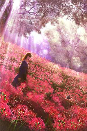 父亲的心脏贺廷安苏沫已完结txt小说全本免费在线阅读