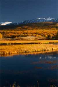 折尽晚棠枝:+后续+结局,沈晚棠沈砚辞沈晚棠沈砚辞全集在线阅读下载