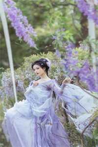 丞相府欺负？摄政王咬他们！沈归雁宋侍完整版免费阅读全章节在线