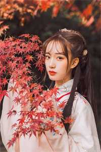 官场：一个小人物的野望杜玉峰阮玉玲小说免费在线阅读全本在线