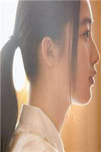 白昼染尽星辰海：爽文免费热门小说txt全章节在线阅读