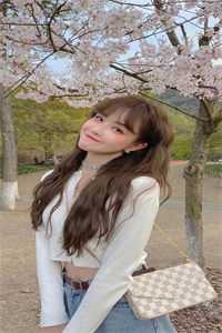 鬓边不是牡丹红：+后续+结局盛惟芳萧既明贺锦全本免费在线阅读抖音小说全本