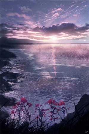 遭强拆忠魂墓地爷爷功勋曝光了:小说番外免费小说完整版全本笔趣阁小说