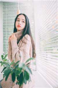 长篇小说阅读九爷，夫人又惊艳全球了