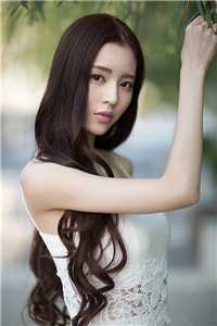 你一个刺客,全点远程什么鬼畅销小说推荐